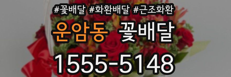 운암동 꽃배달