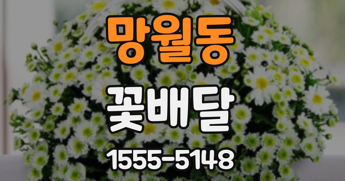 망월동 꽃배달