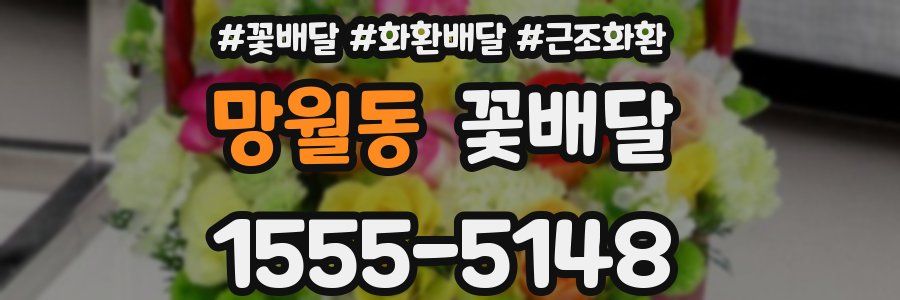 망월동 꽃배달