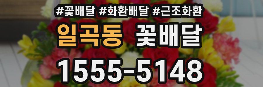 일곡동 꽃배달