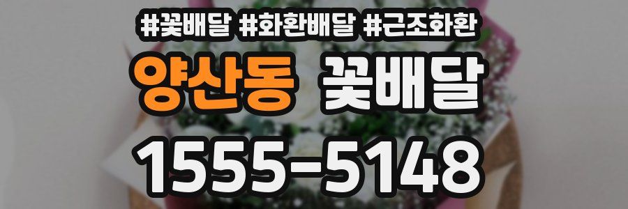 양산동 꽃배달