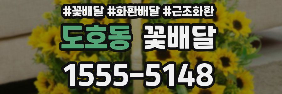 도호동 꽃배달