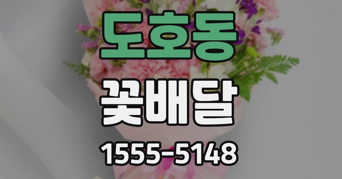 도호동 꽃배달