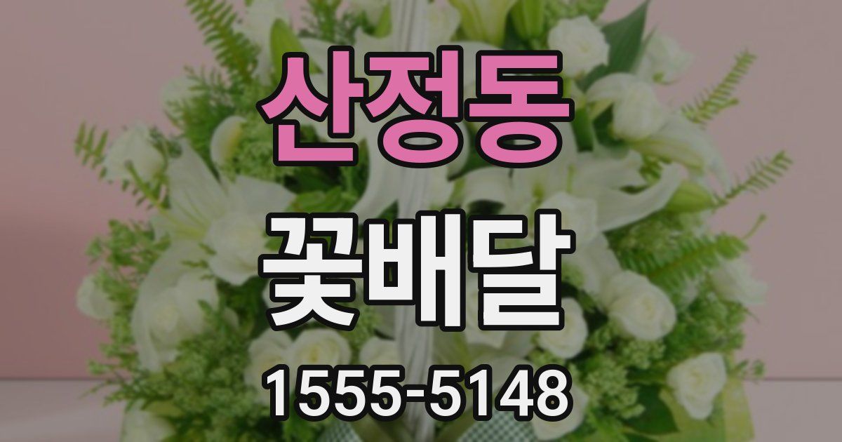 산정동 꽃배달
