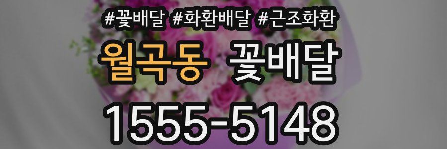 월곡동 꽃배달