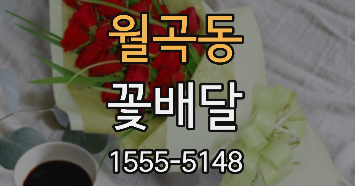 월곡동 꽃배달