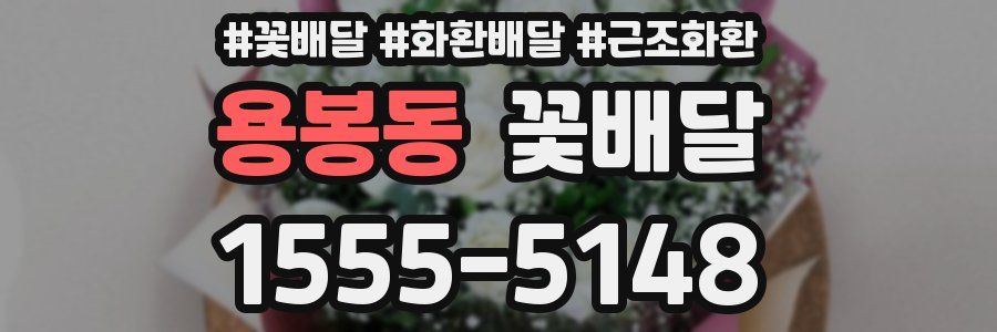 용봉동 꽃배달