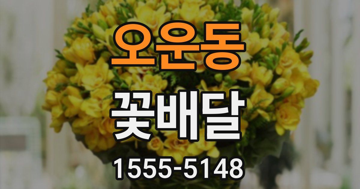오운동 꽃배달