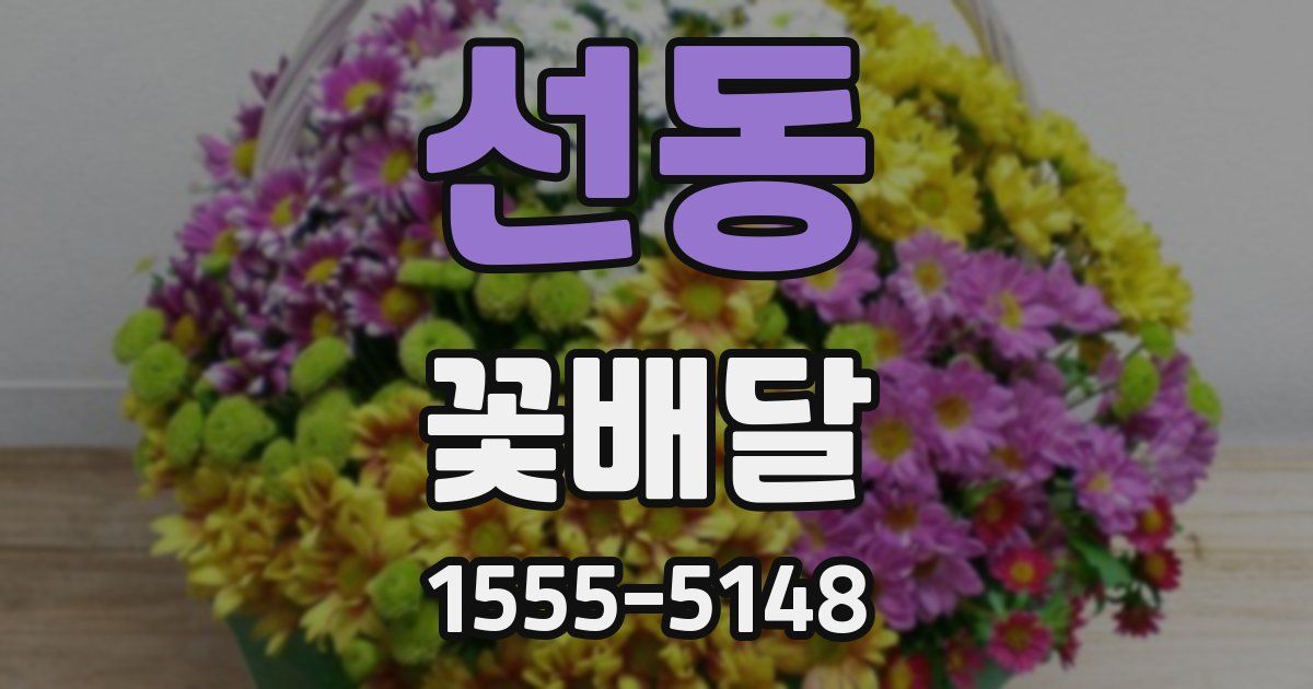 선동 꽃배달