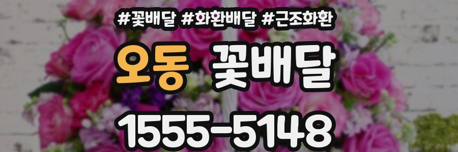 오동 꽃배달