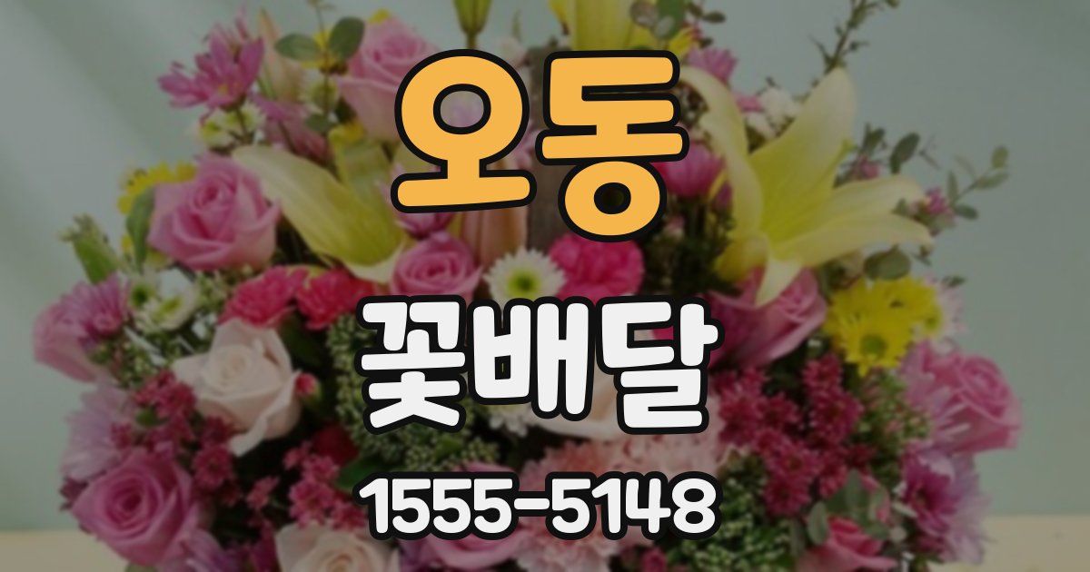 오동 꽃배달