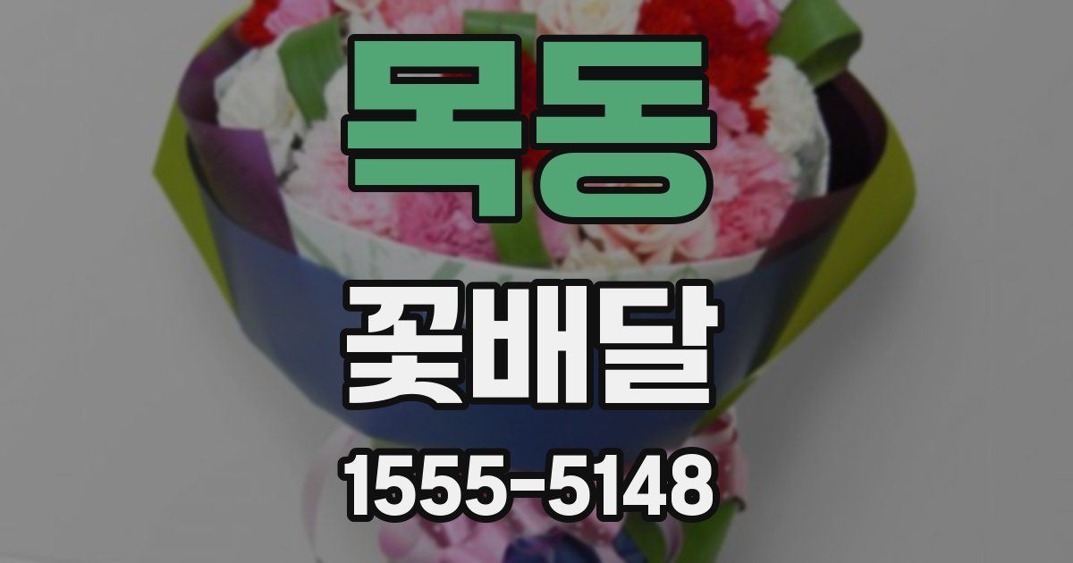 목동 꽃배달