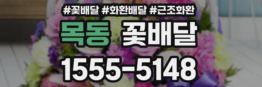 목동 꽃배달