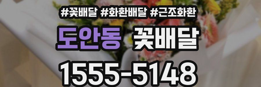 도안동 꽃배달