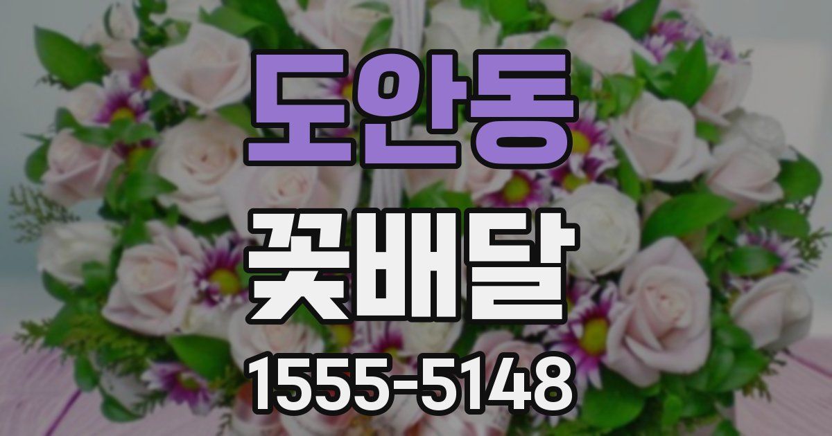 도안동 꽃배달