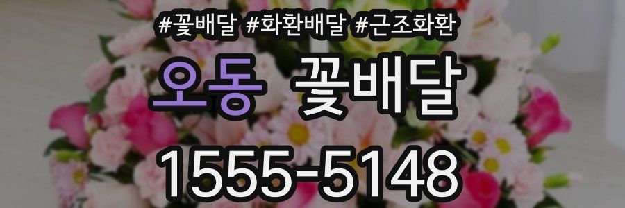 오동 꽃배달