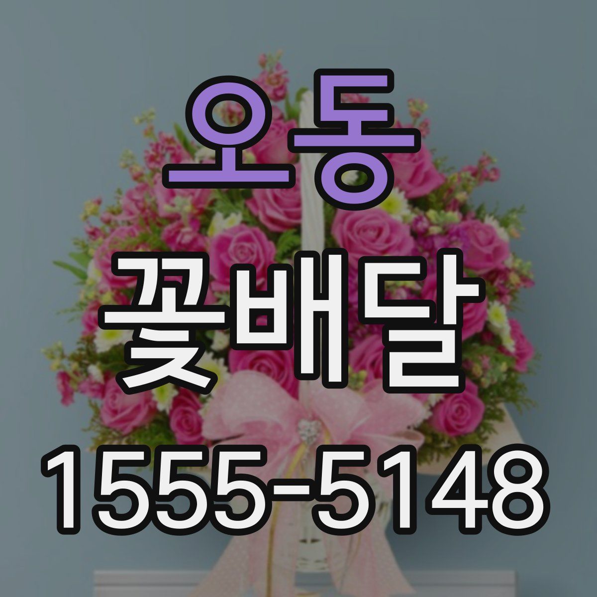오동 꽃배달