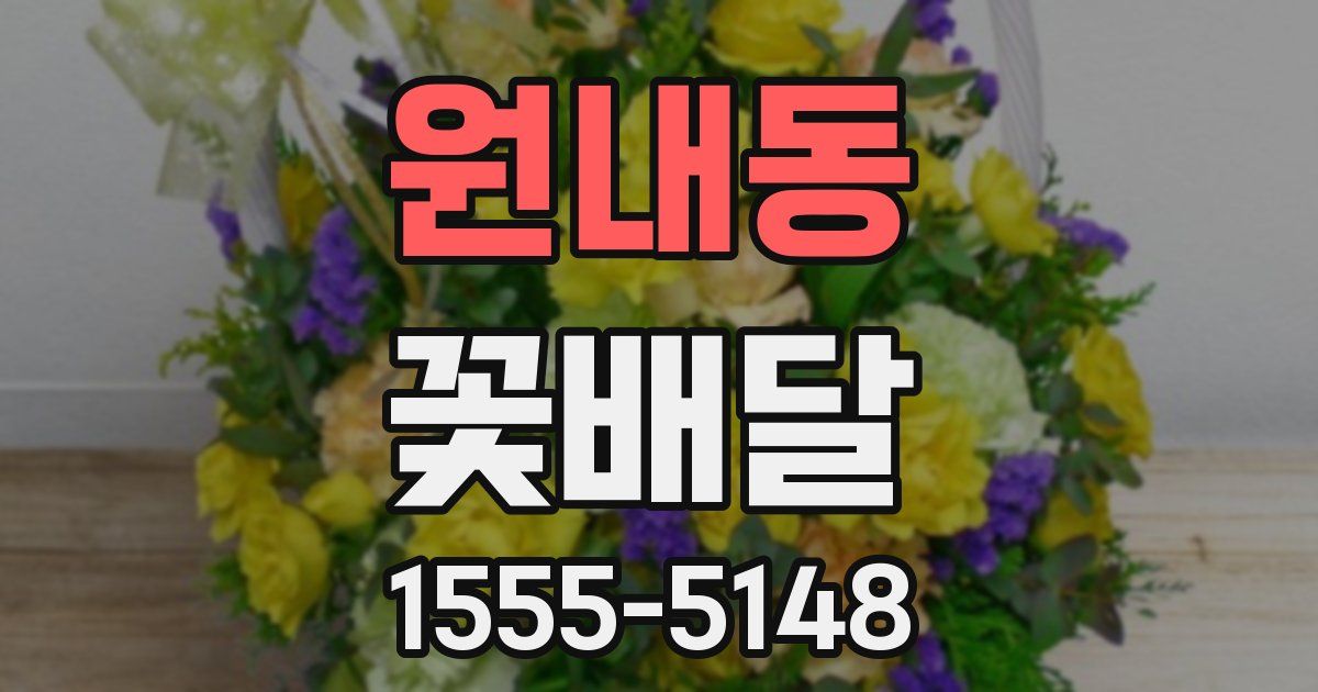 원내동 꽃배달