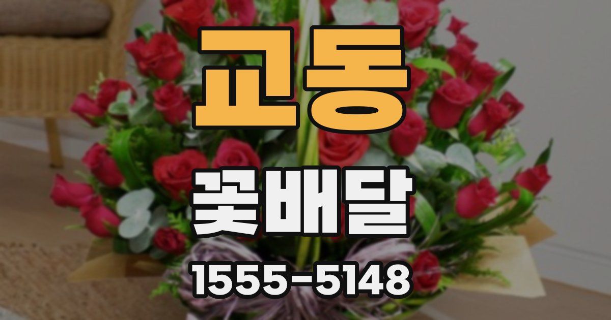 교동 꽃배달