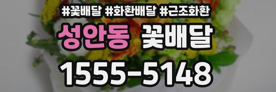 성안동 꽃배달
