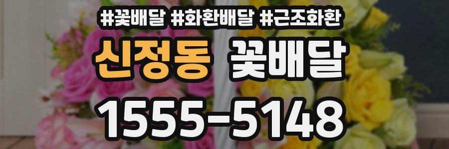 신정동 꽃배달