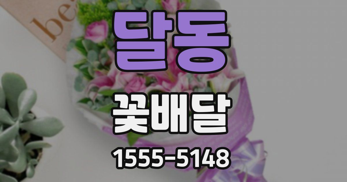 달동 꽃배달