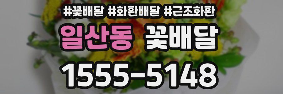 일산동 꽃배달