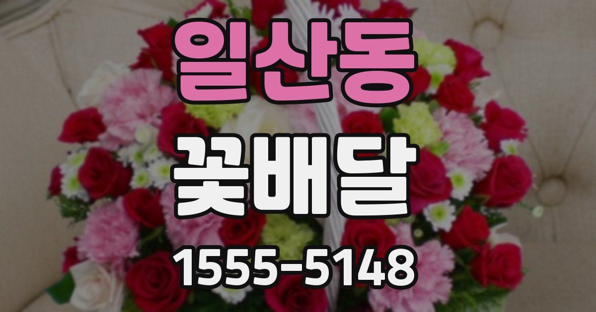 일산동 꽃배달