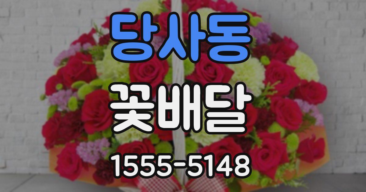 당사동 꽃배달