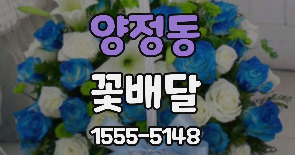 양정동 꽃배달