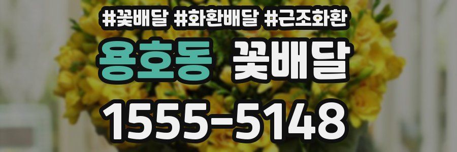 용호동 꽃배달