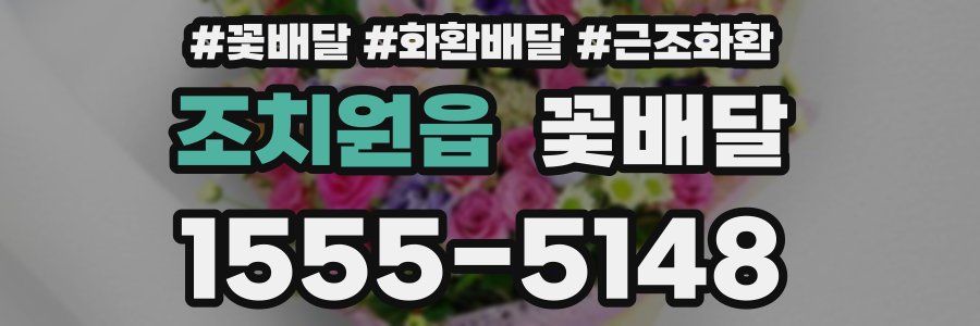 조치원읍 꽃배달