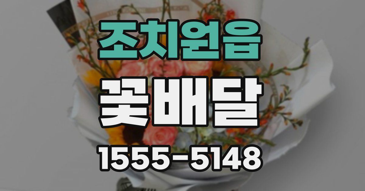 조치원읍 꽃배달