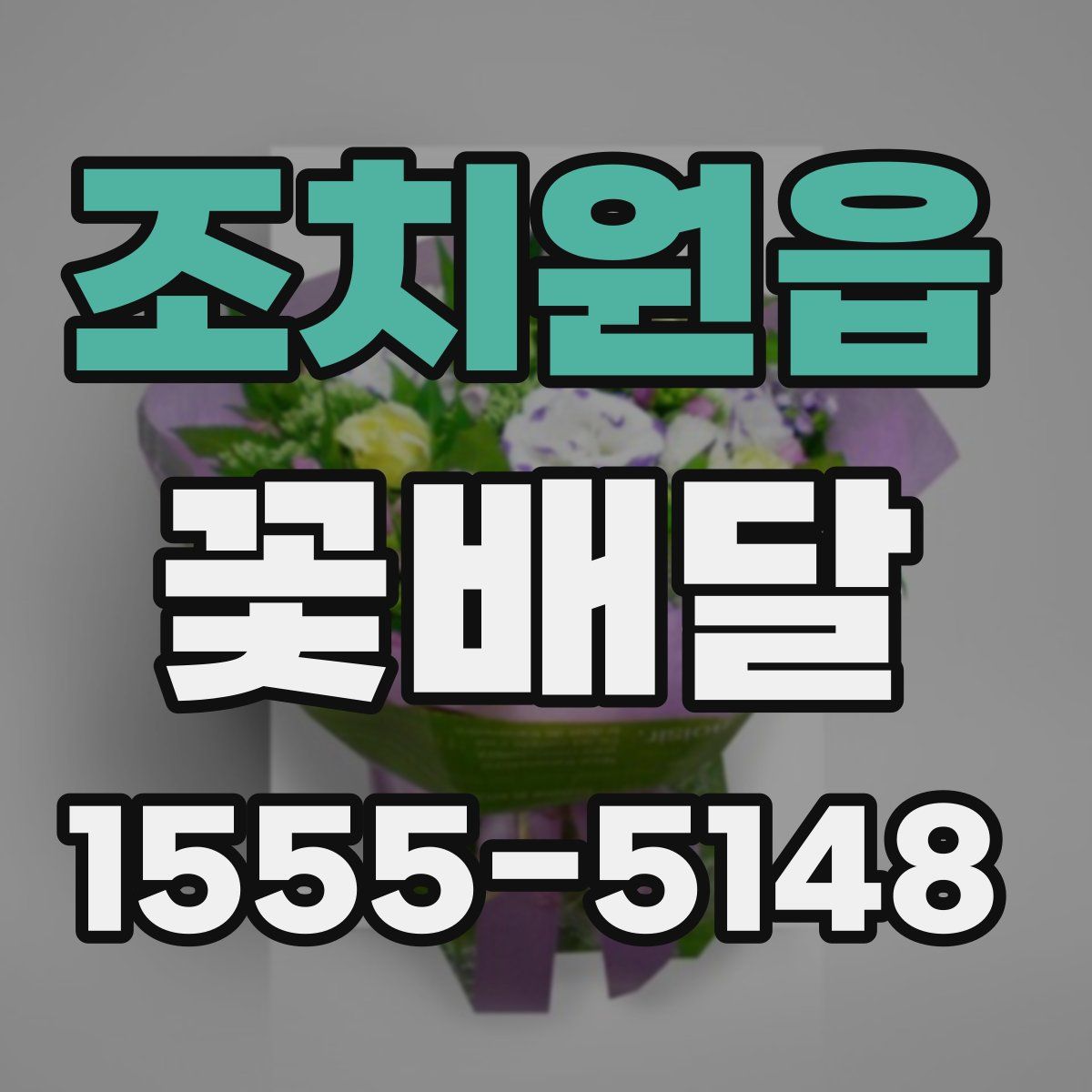 조치원읍 꽃배달