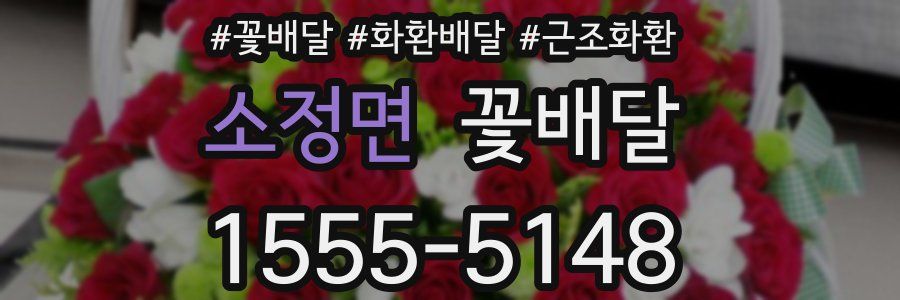 소정면 꽃배달