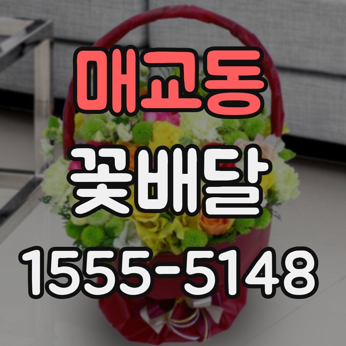 매교동 꽃배달