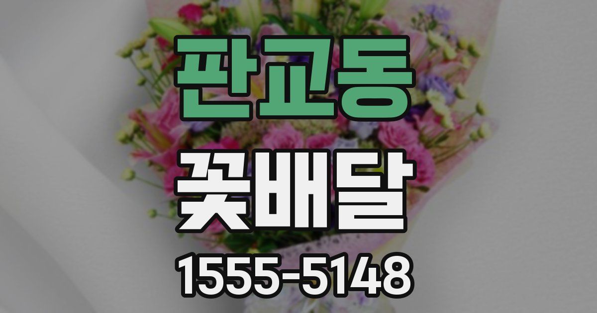 판교동 꽃배달