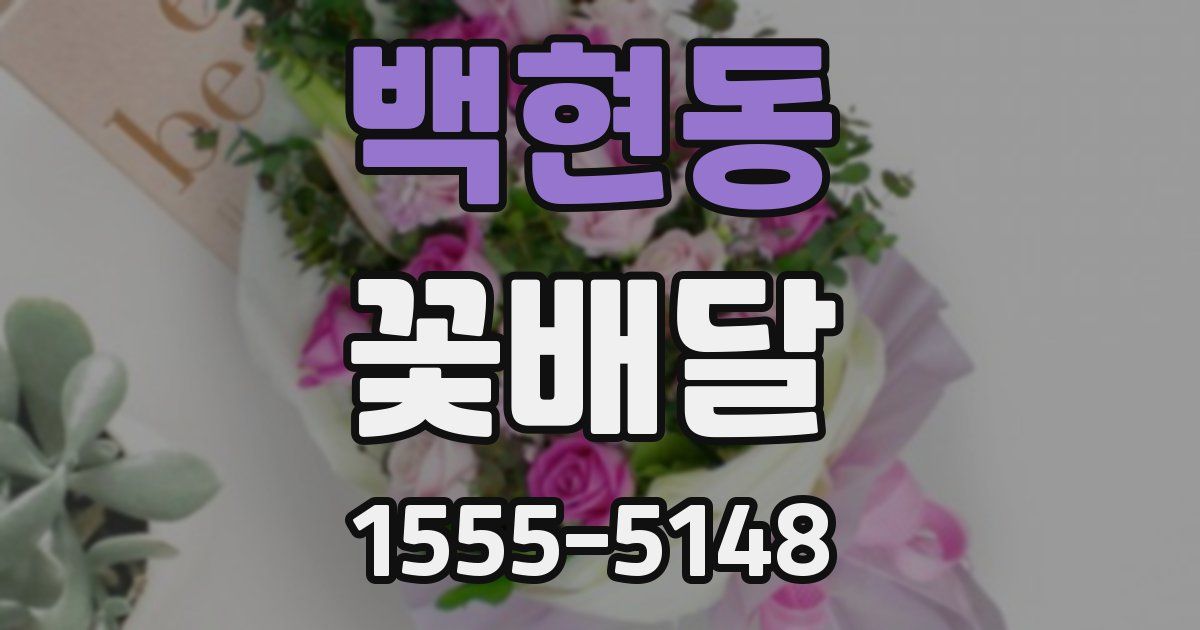백현동 꽃배달