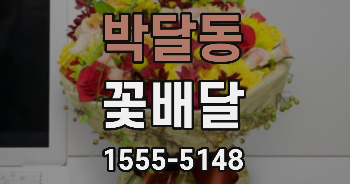 박달동 꽃배달