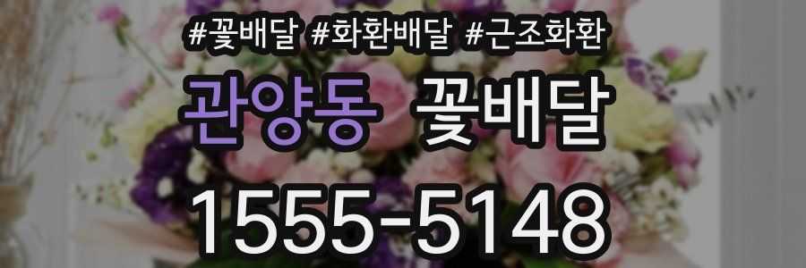 관양동 꽃배달