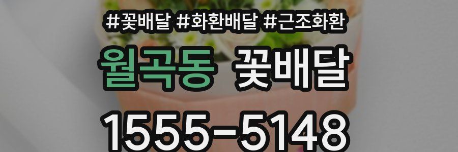 월곡동 꽃배달