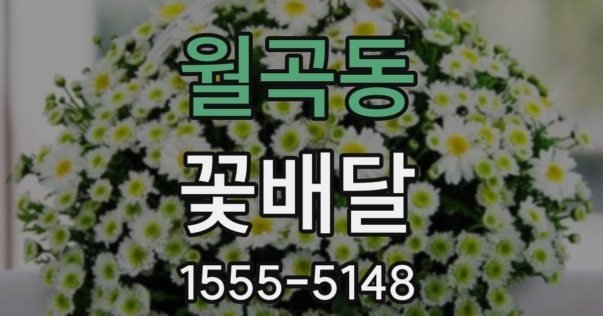 월곡동 꽃배달