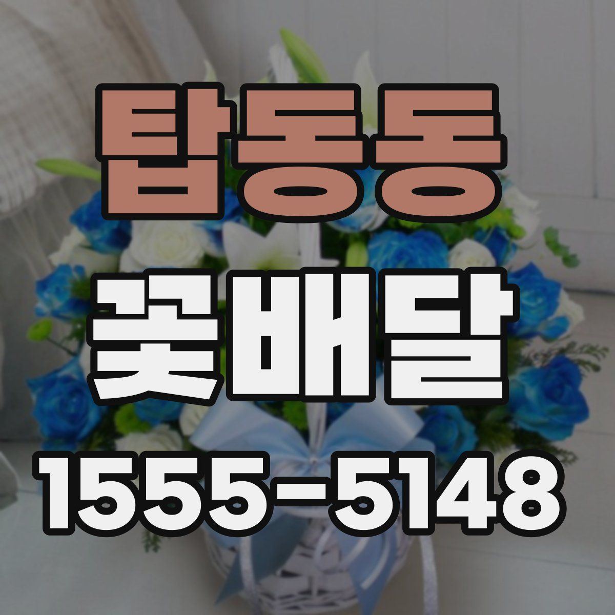 탑동동 꽃배달
