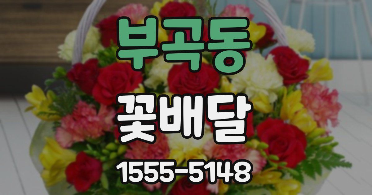 부곡동 꽃배달