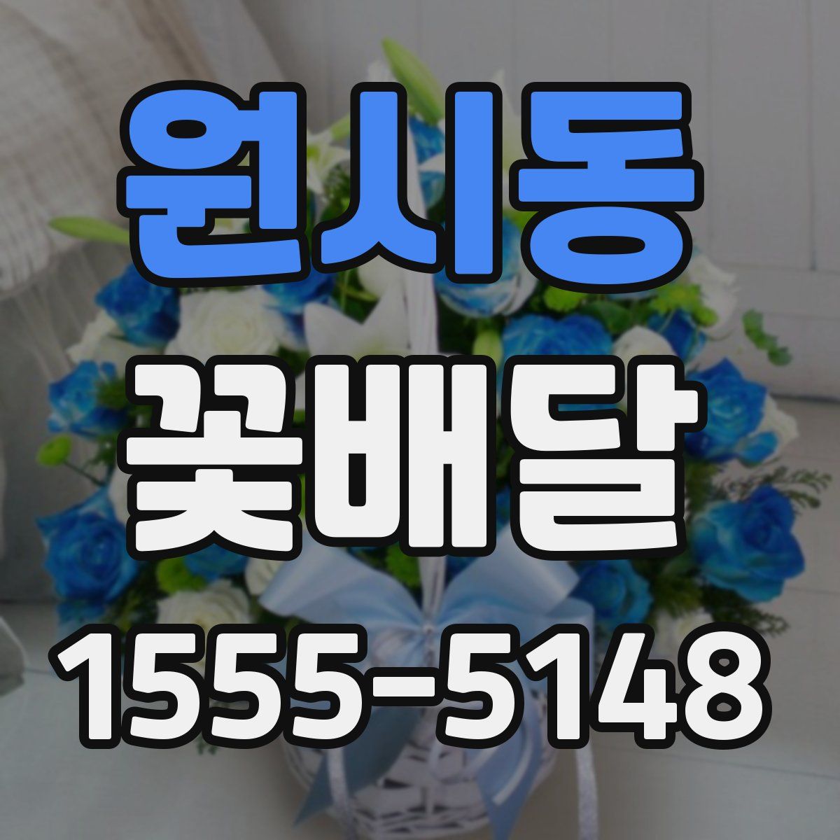 원시동 꽃배달