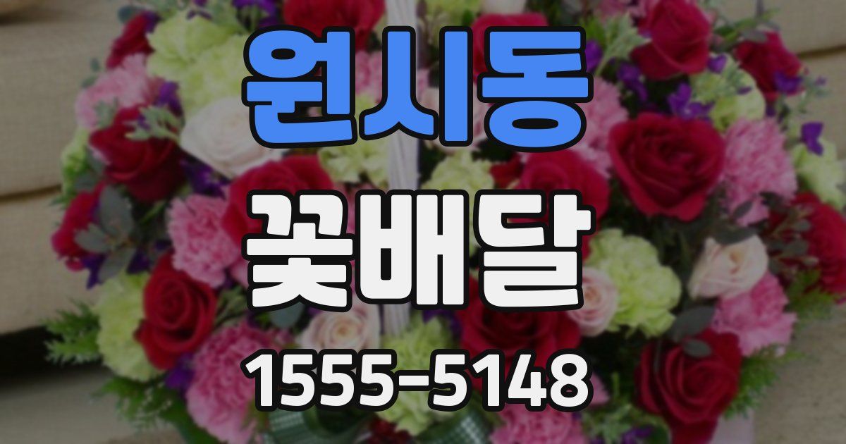 원시동 꽃배달