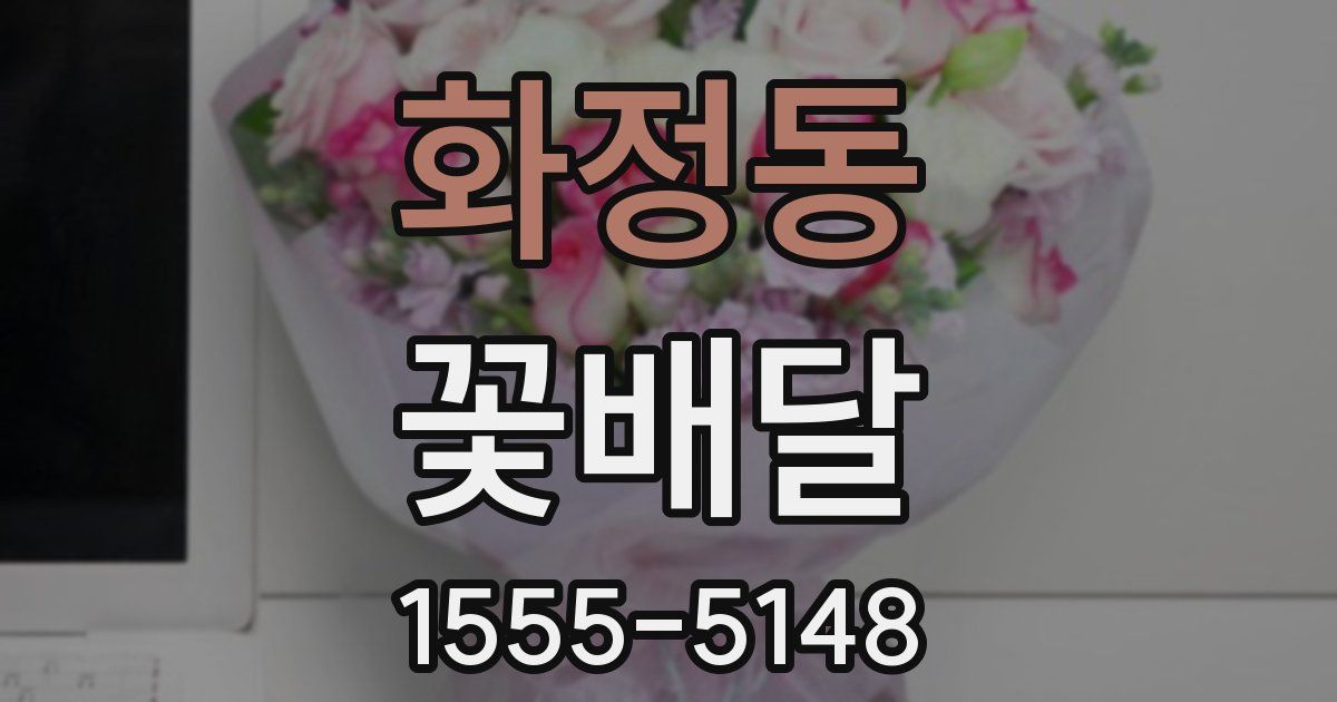 화정동 꽃배달