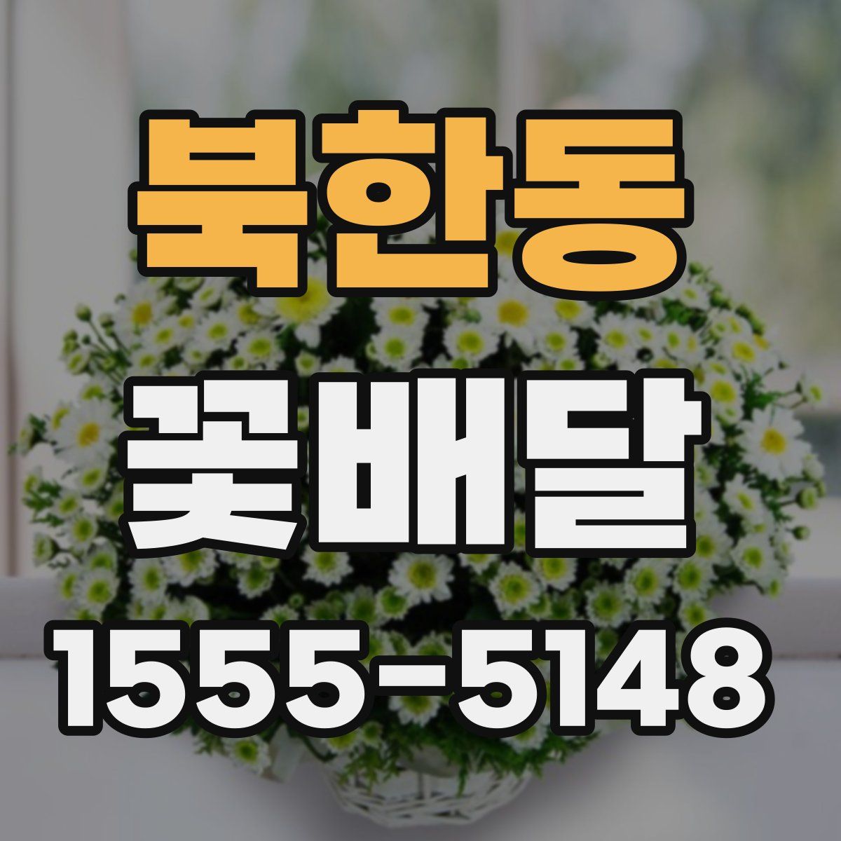 북한동 꽃배달