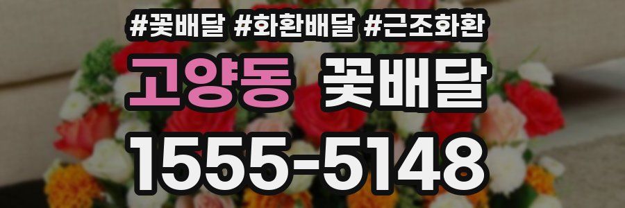 고양동 꽃배달
