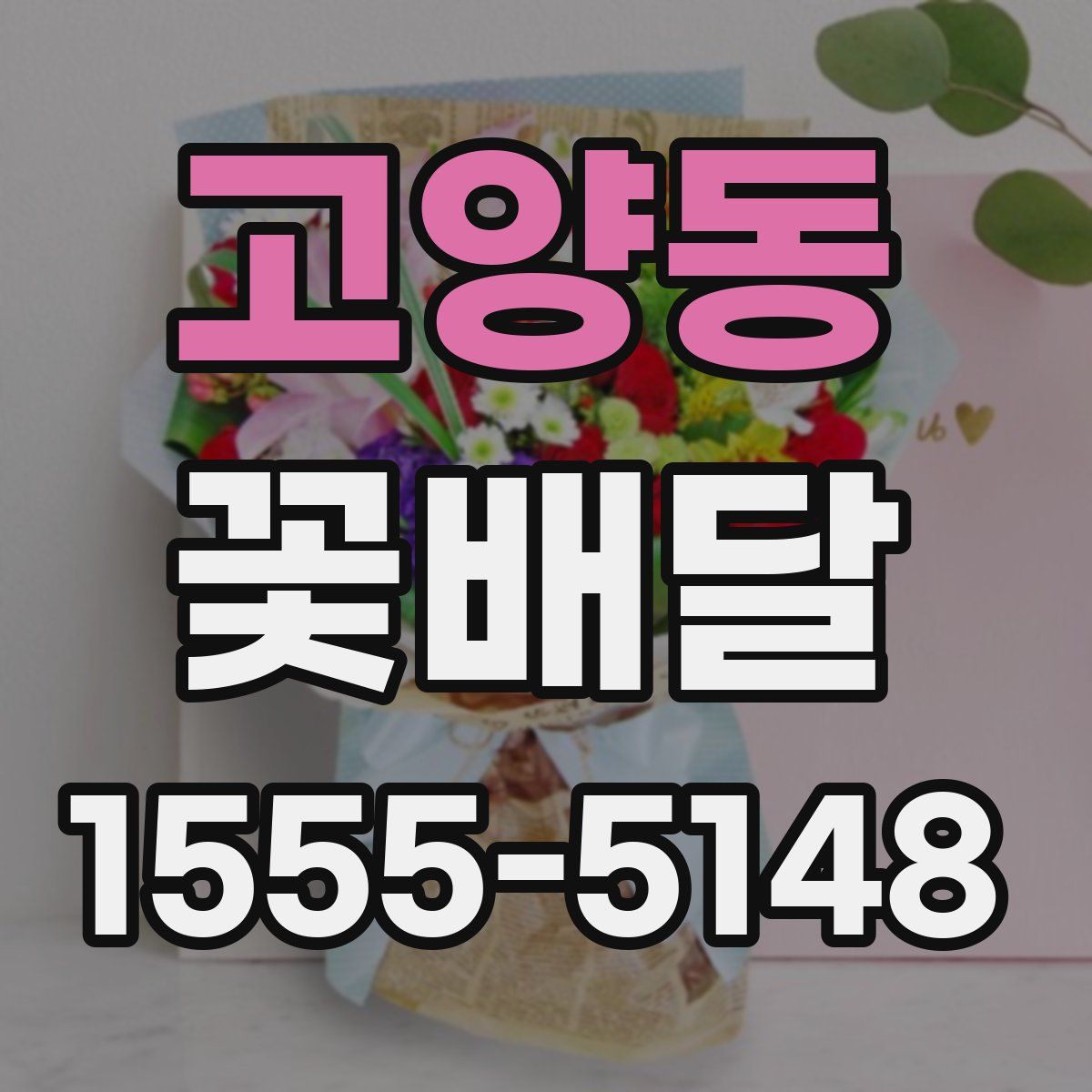 고양동 꽃배달